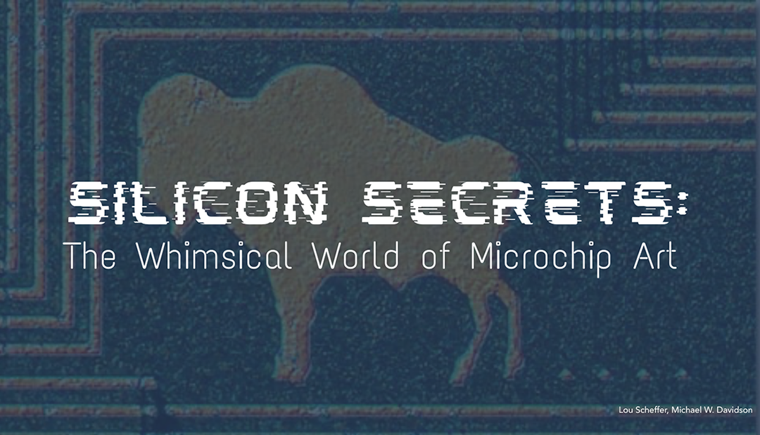Silicon Secrets: The Whimsical World of Microchip Art